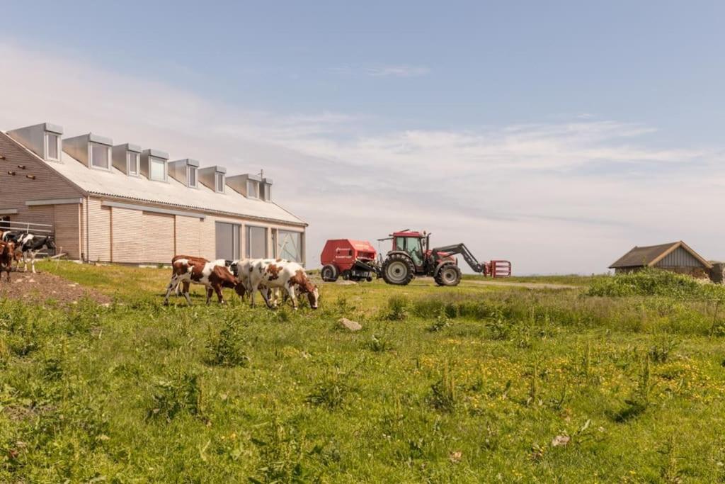 Апартаменты The Longhouse At Lista Фарсунн Экстерьер фото